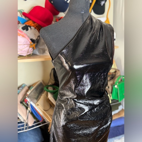 Lioness - Picture 4 of 6